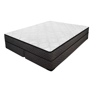 LS Evolutions Softside Waterbed Mattress